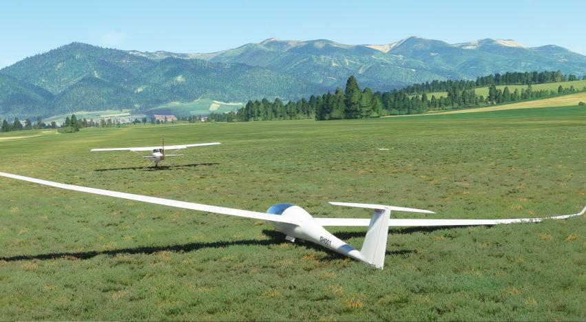 Discus 2c in Microsoft Flight Simulator Update 10