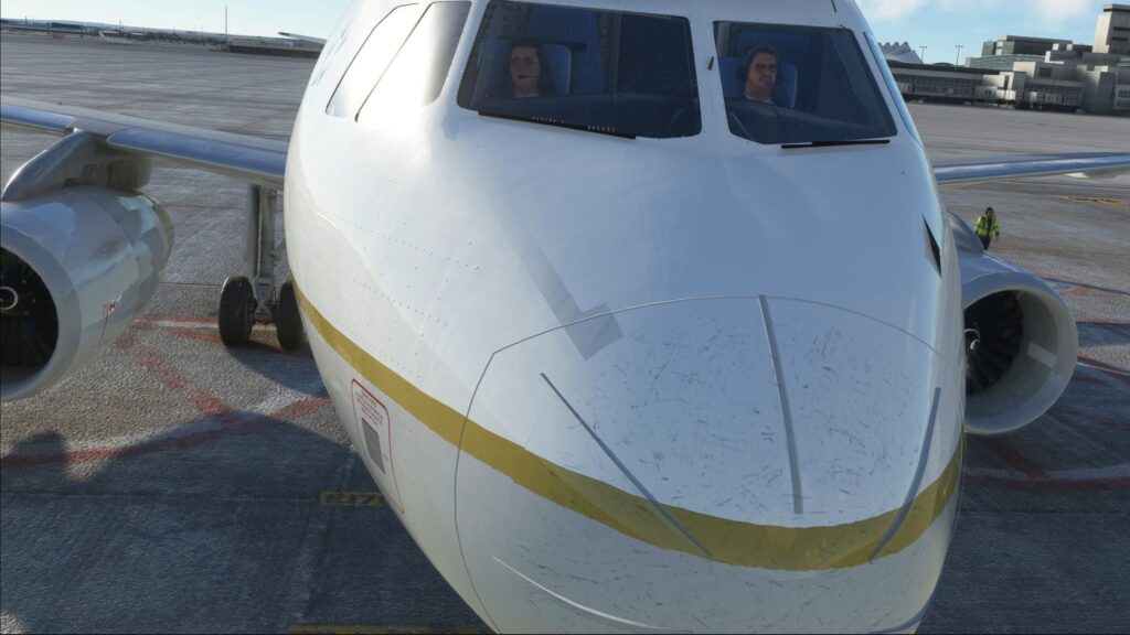 LFVR A319 has texture flaws