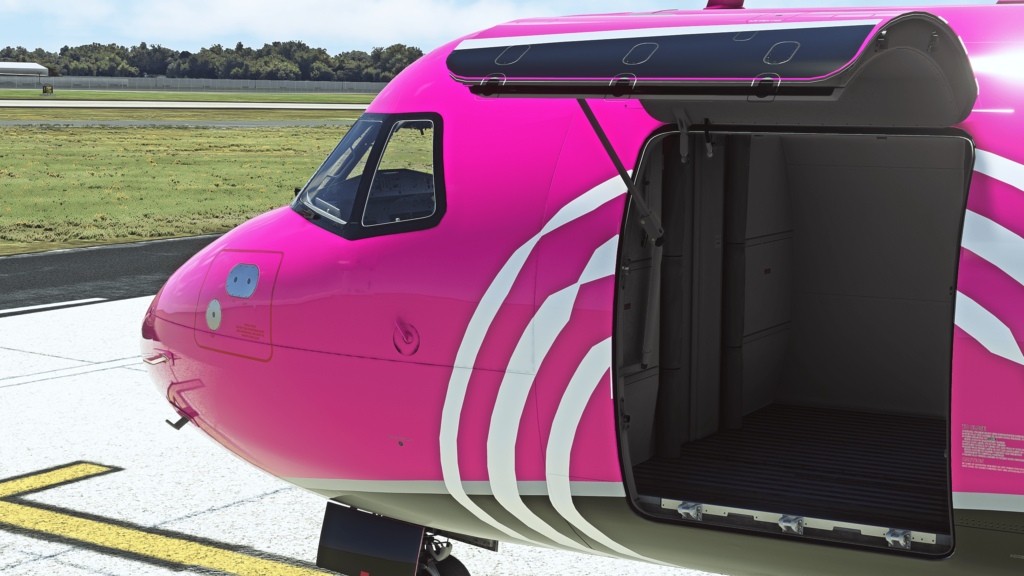 MSFS ATR cargo door