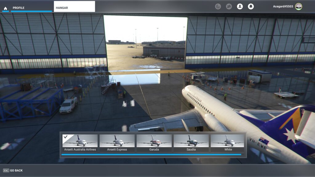 Just Flight Fokker F28 Review Liveries 7