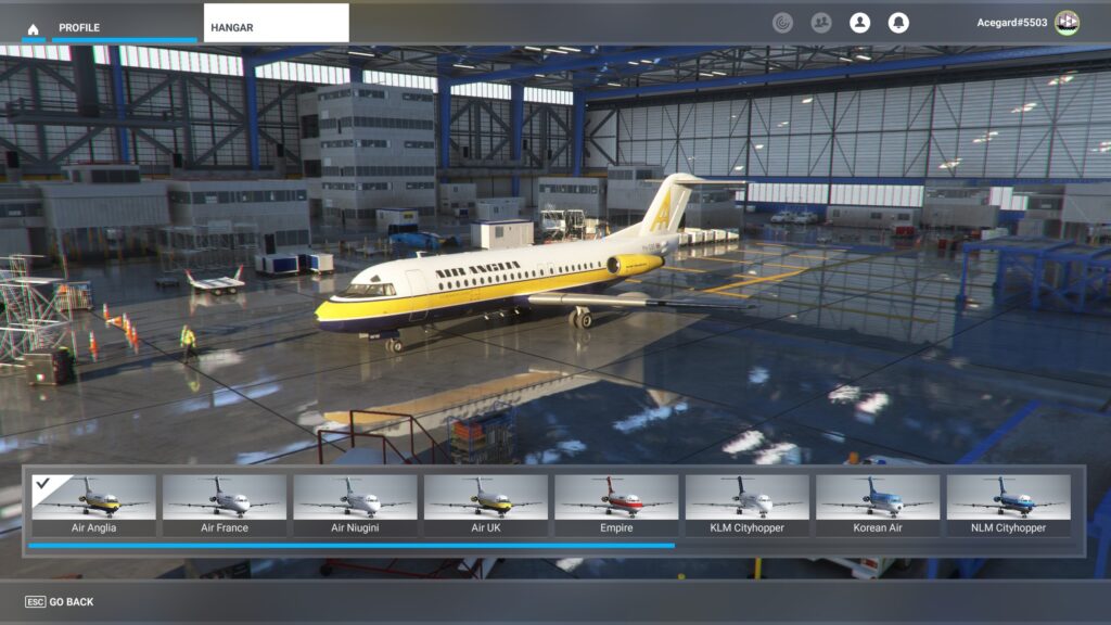Just Flight Fokker F28 Review Liveries 6