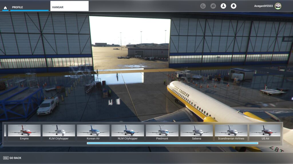 Just Flight Fokker F28 Review Liveries 1