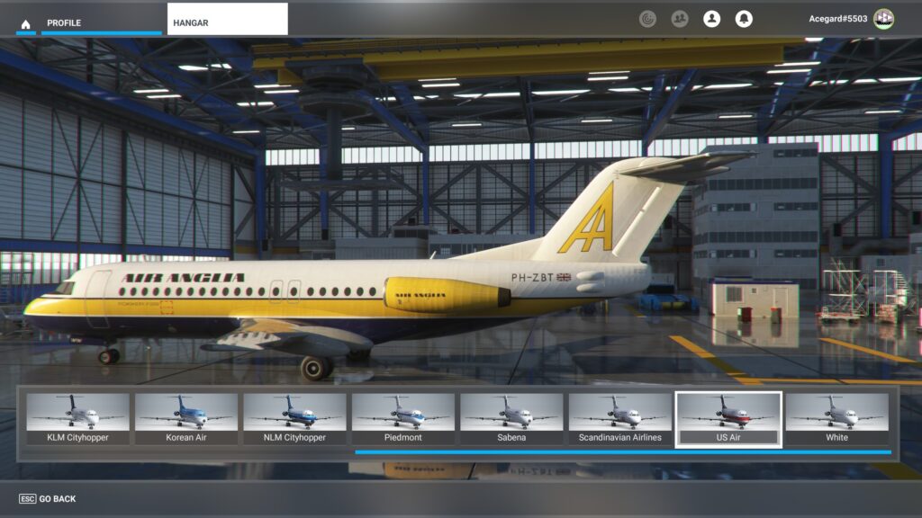 Just Flight Fokker F28 Review Liveries 5
