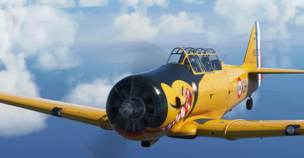 The older Texan (Harvard) in comparison to the new T6A Texan II