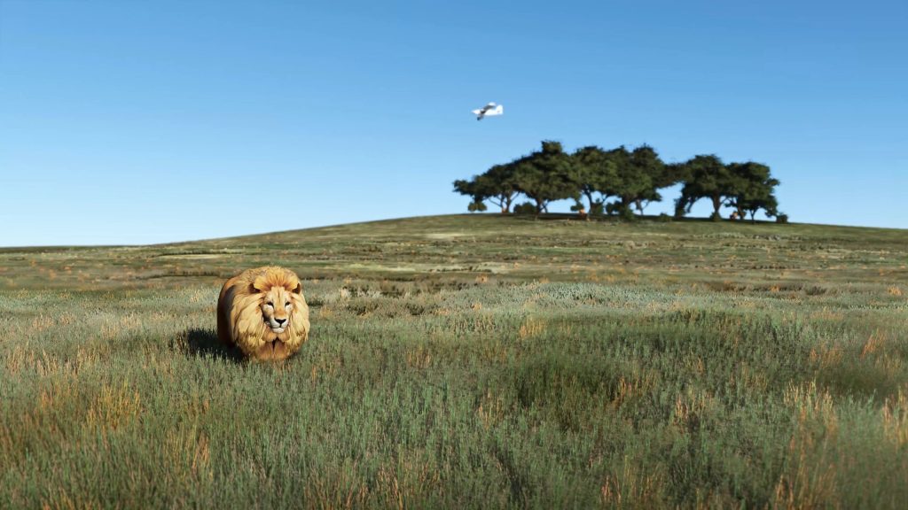 SoFly's Animals for MSFS project is the latest development in simulator immersion. And it is now officially available!