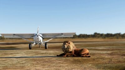 SoFly's Animals for MSFS project is the latest development in simulator immersion.