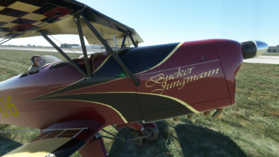 Bucker Bu-131