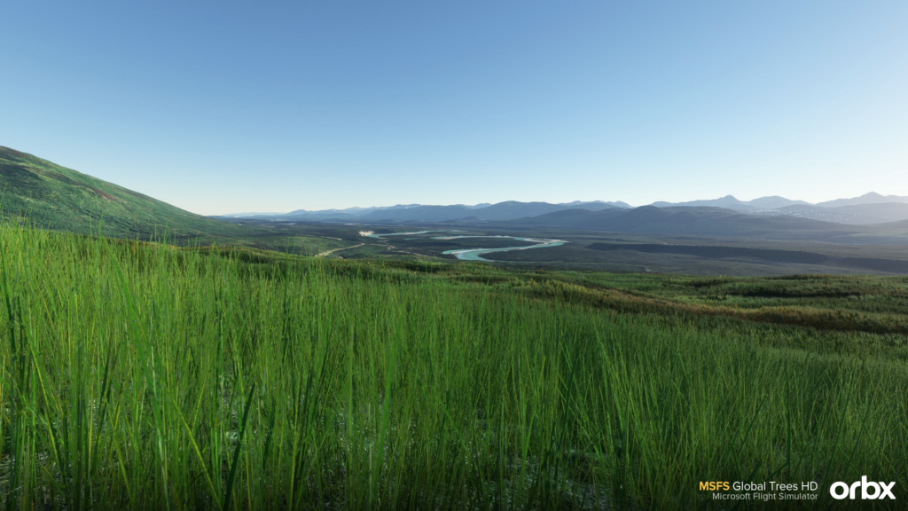 Global Trees HD MSFS