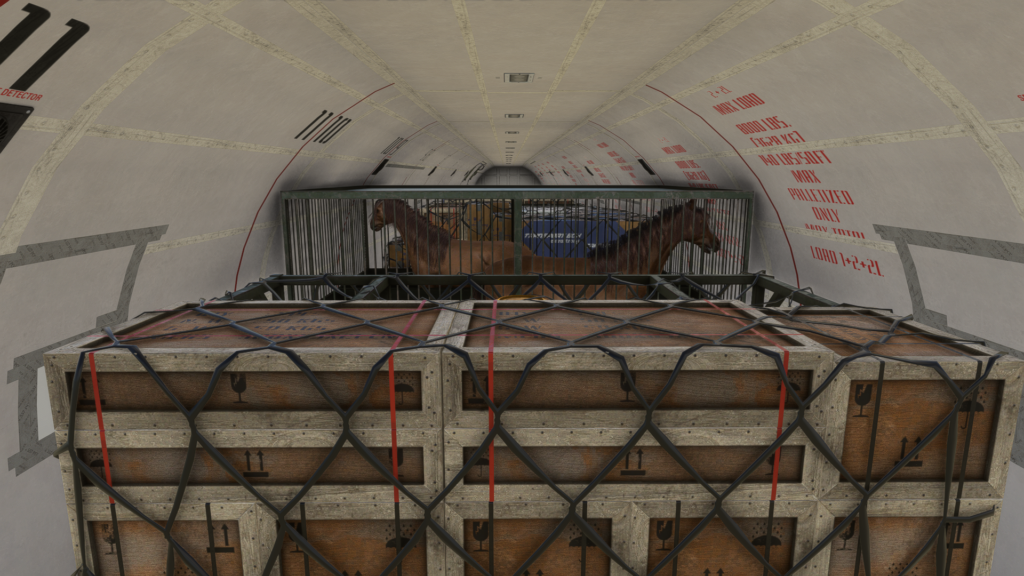 image of flightsdim studio 727 cargo bay