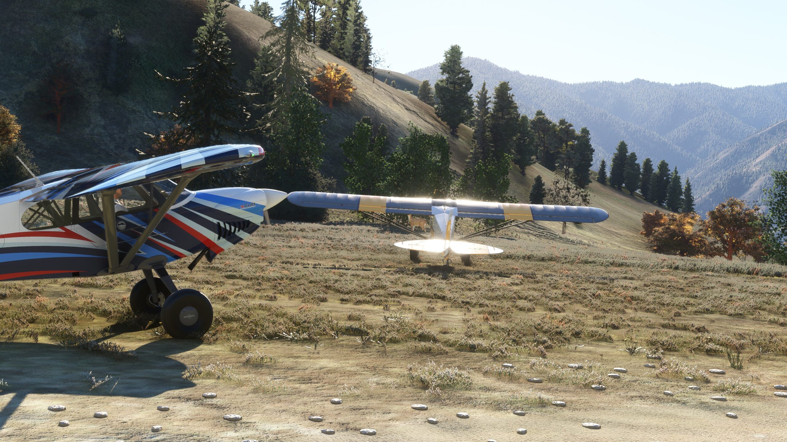 MSFS 2020 Sim Update 16 Beta