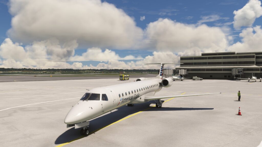Sim Federation ERJ 145 Exterior 1
