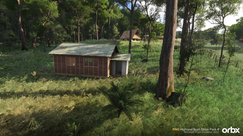 PNG Highland Bush Strips 3