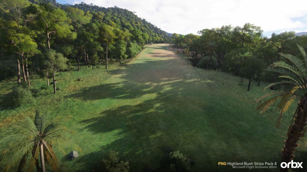 PNG Highland Bush Strips 1