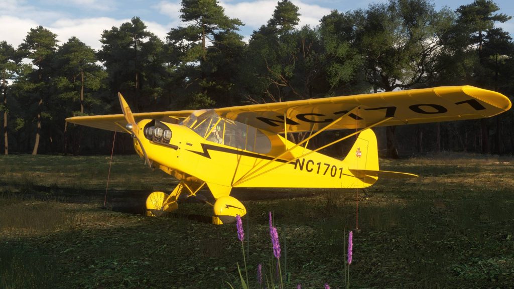CAS J3 Cub for MSFS