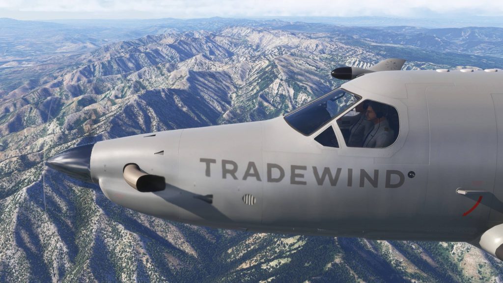 SWS PC-12 Legacy MSFS