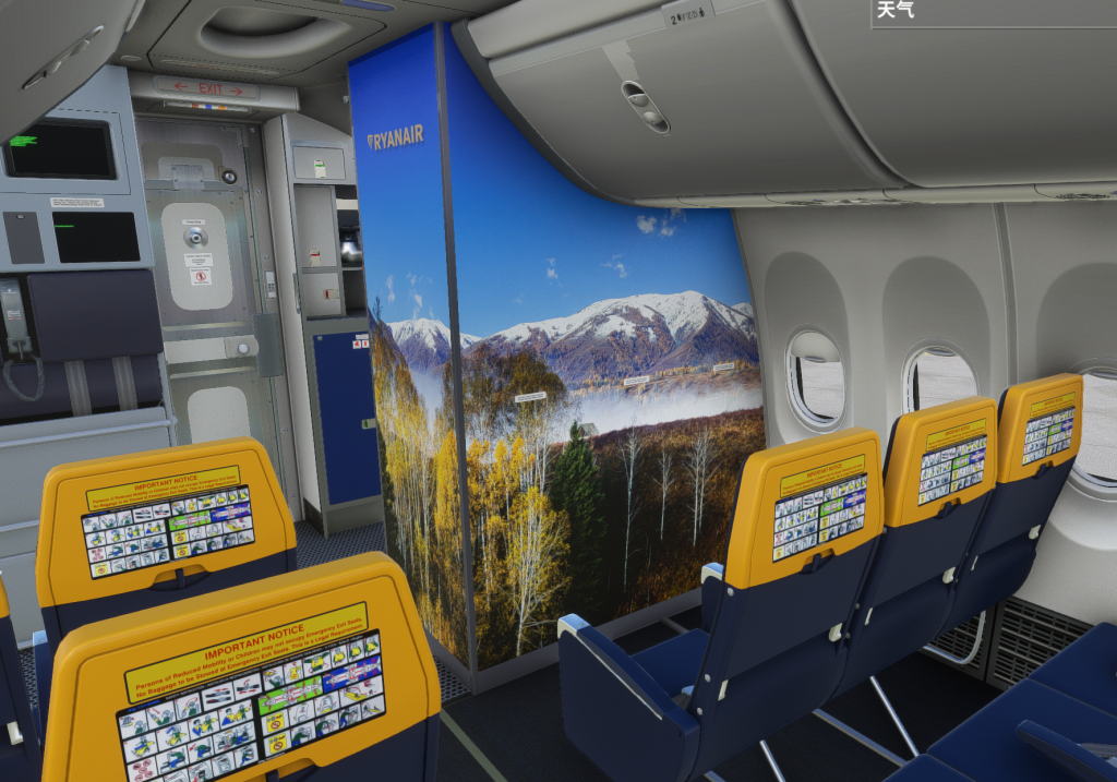 Modeled cabin of ryanair B737