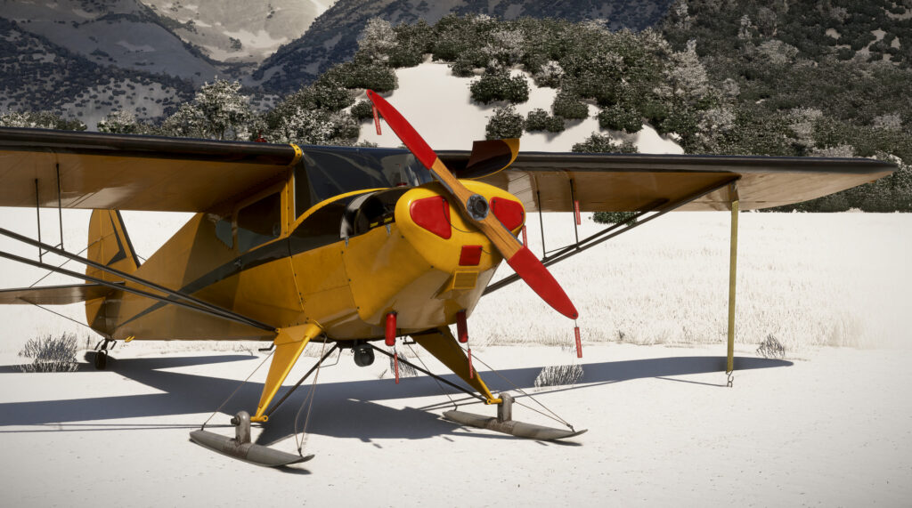 GotFriends Taylorcraft BC-12D on skis parked in a snow covered region.