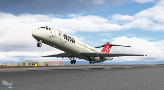 Skysimulations DC-9 41