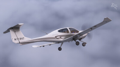 COWS DA40